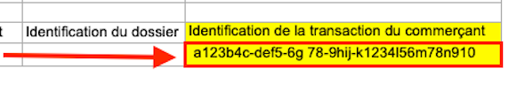 Zoom identifcation marchant